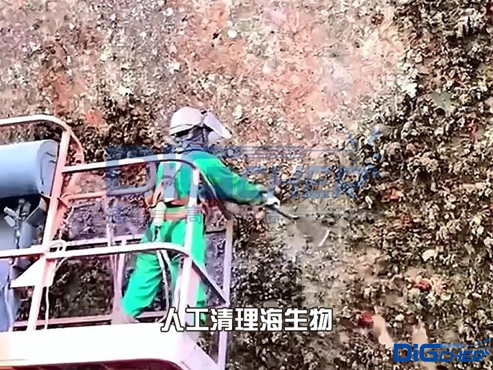 人工清理海生物